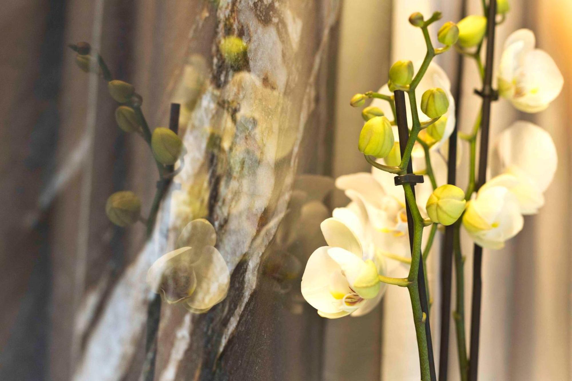 Boutique Hotel 시르미오네 외부 사진