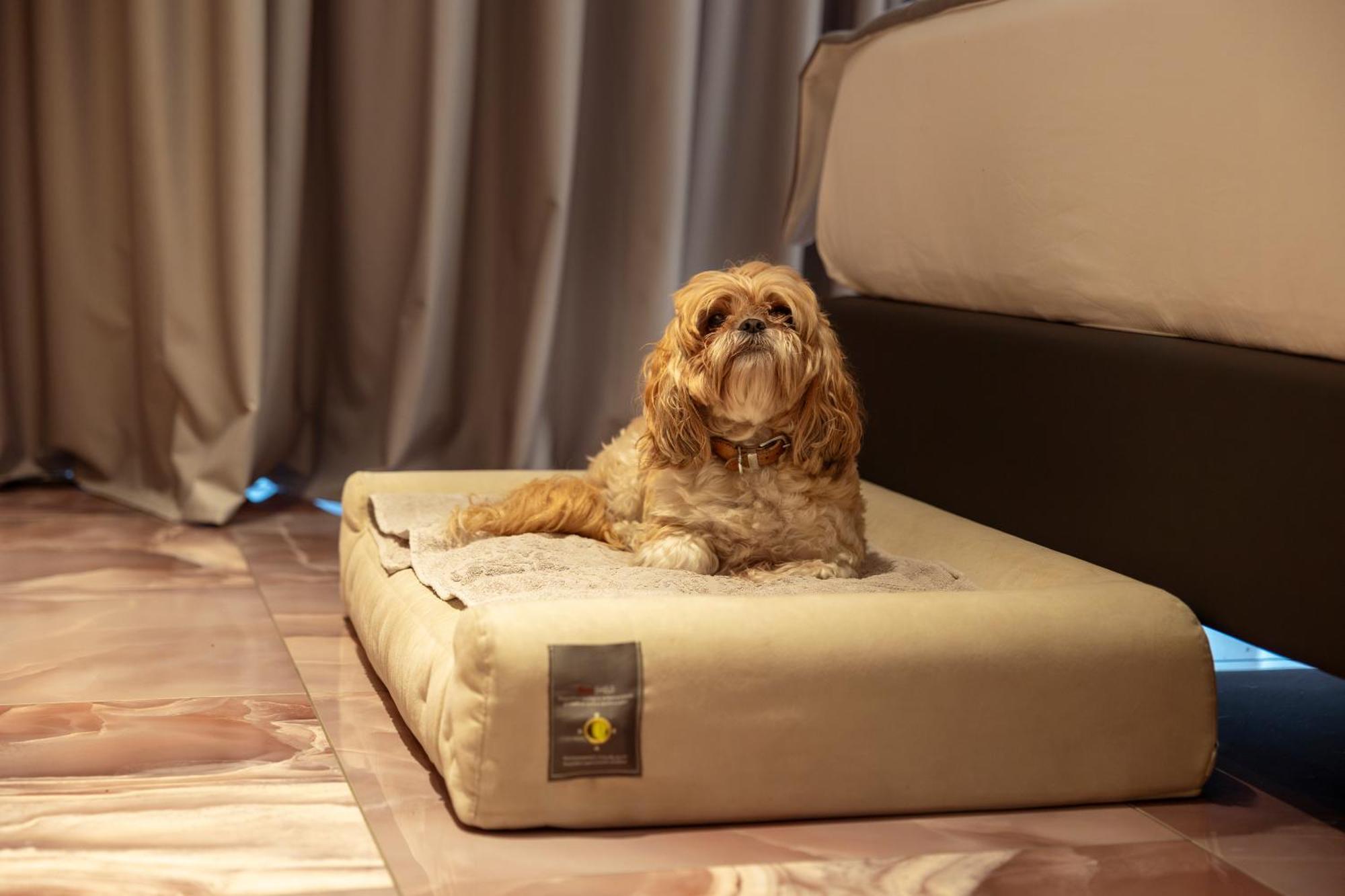 Boutique Hotel 시르미오네 외부 사진